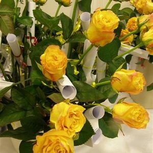 60 Jahre KFB Eferding