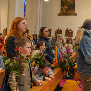 Palmsonntag Pfarre Kirchdorf an der Krems