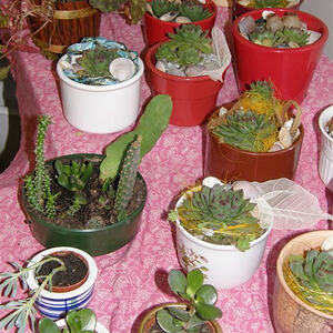 Pfarrflohmarkt