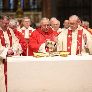 Festmesse zum 85. Geburtstag von Bischof em. Maximilian Aichern im Linzer Mariendom | 26.12.2017
