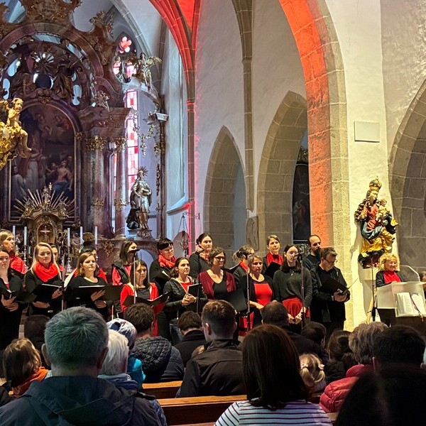Lange Nacht der Kirche in Gallneukirchen / Margarete Pürerfellner