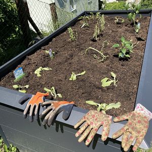 Das neue Hochbeet