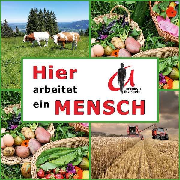Unsere Lebensmittel / © Team mensch & arbeit Hier arbeitet ein Mensch