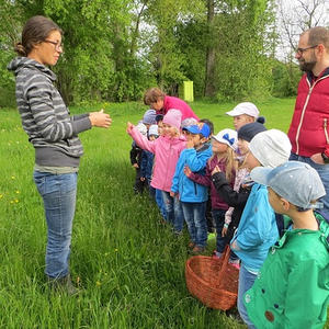 Kräuterwanderung