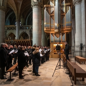 ORF-Radiogottesdienst aus dem Mariendom Linz