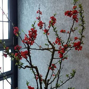 Kirchenschmuck