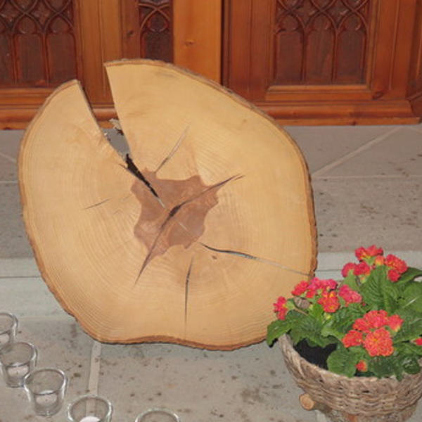 Baumscheibe mit Jahresringen