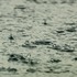 Wasser